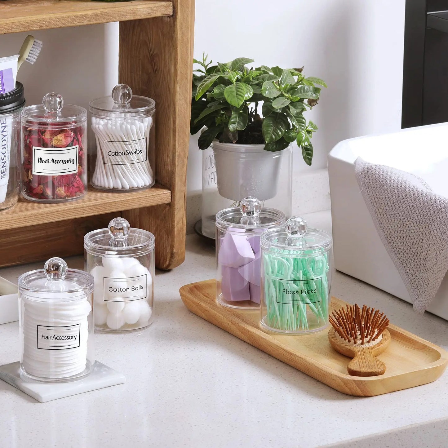 Acrylic Qtip Holder Set